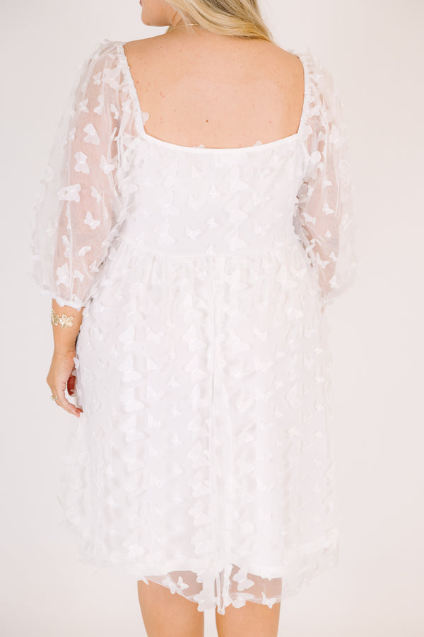 Chic Soul plus size clothing, white babydoll dress with sheer butterfly pattern and bubble sleeves
