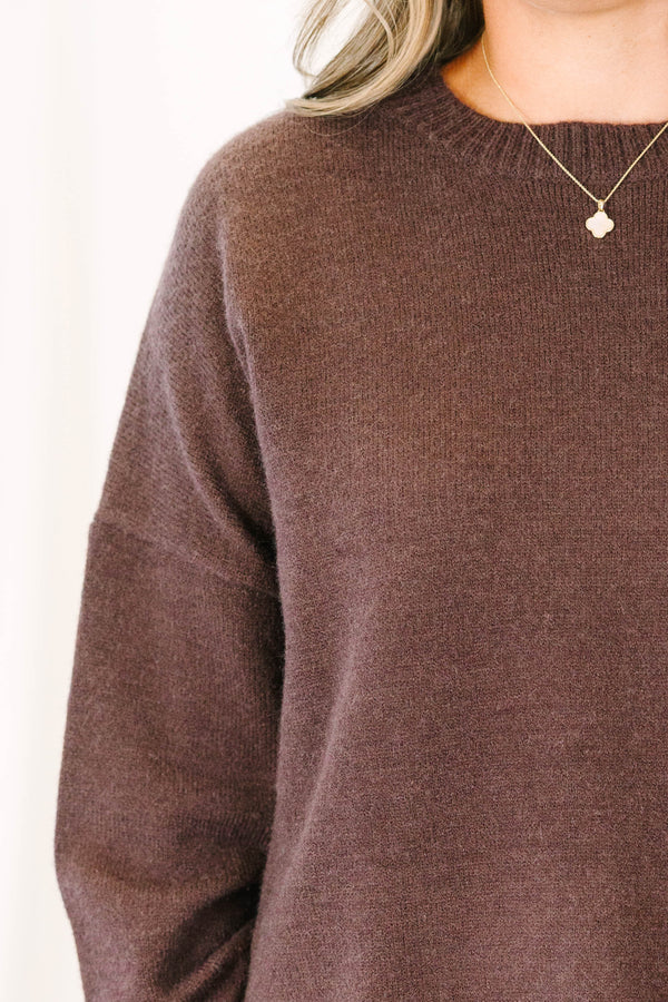 Plus Size brown crewneck sweater with long sleeves and a delicate lace trim at the hem.