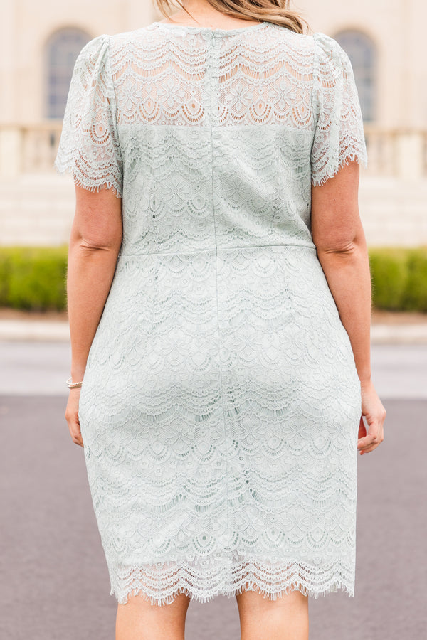 Chic Soul plus size clothing, sage lace knee length dress with short sleeves