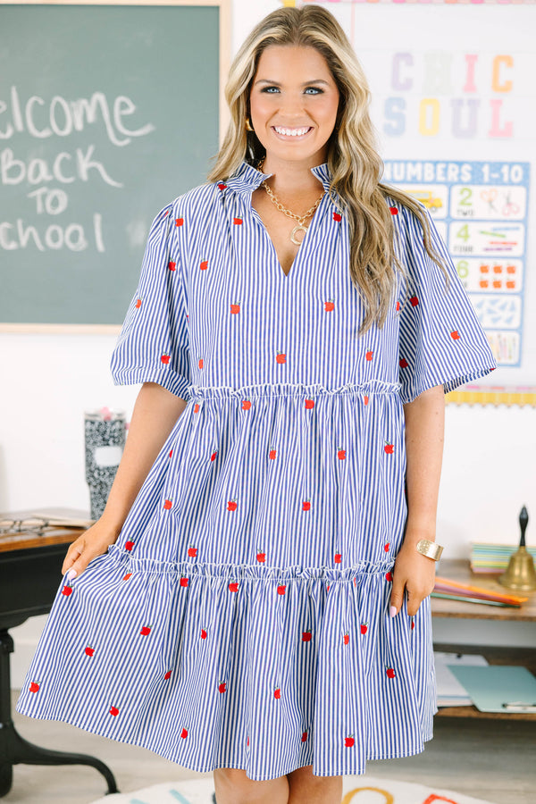 Plus size navy and white striped tiered dress with red apple embroidery and a flowy fit.