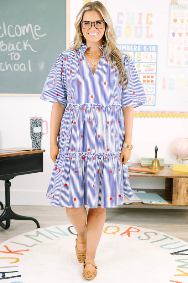 Plus size navy and white striped tiered dress with red apple embroidery and a flowy fit.