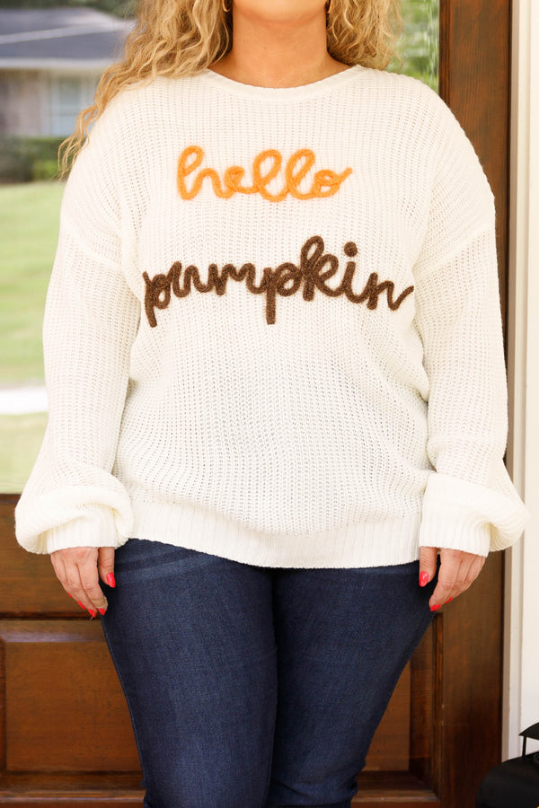 Chic Soul plus size clothing, ivory sweater with embroidery detailing and bubble sleeves