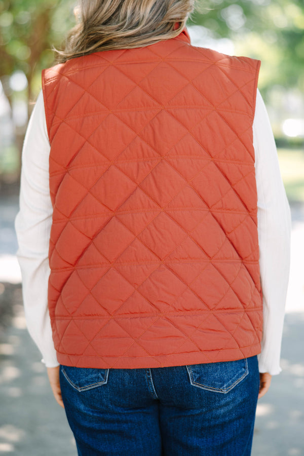Plus size brown quilted vest with a zip-up front and a cozy, comfortable fit.